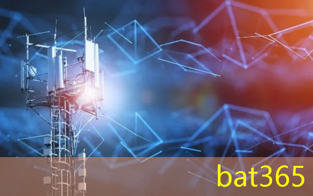 bat365：济南智慧城市建设项目有哪些