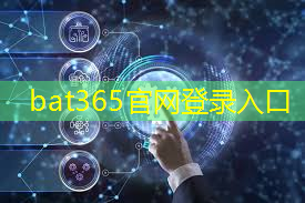 bat365：南宫新型智慧城市一期项目